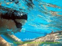برنامه جلسات آموزشی شنای بانوان